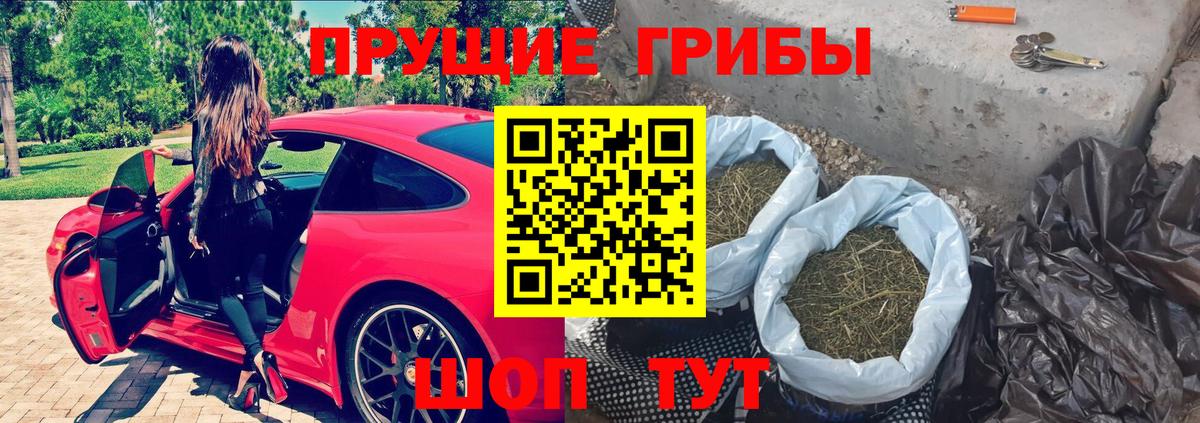 Псилоцибиновые грибы MAGIC MUSHROOMS  где найти наркотики  Мыски  Вход с VPN 