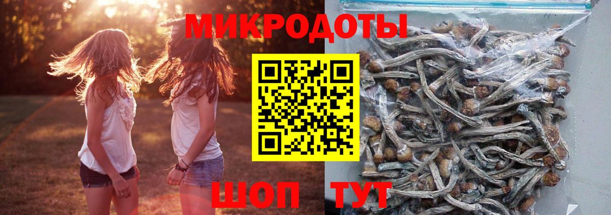 Галлюциногенные грибы Psilocybine cubensis Мыски